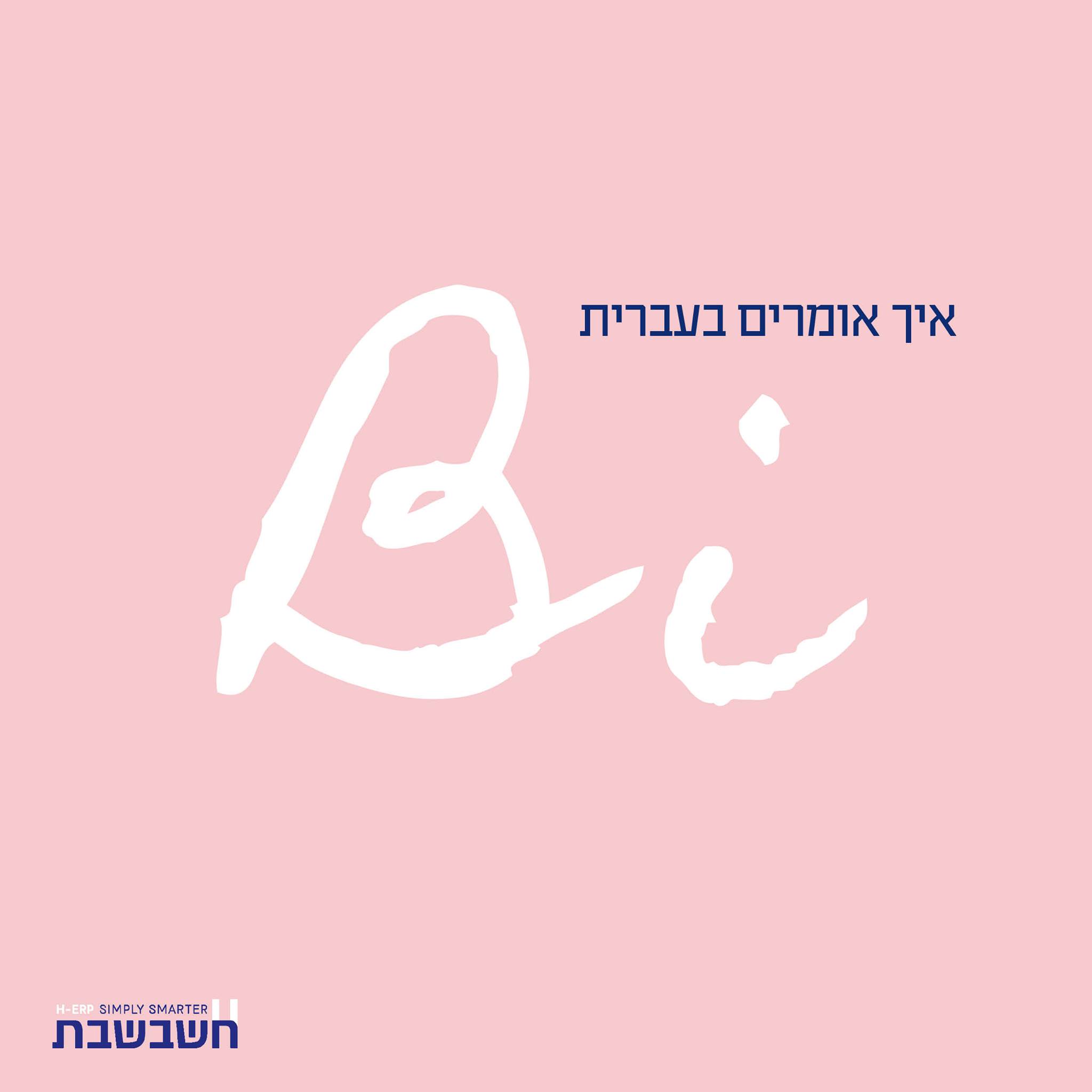 מערכת BI - חשבשבת מערכת ERP