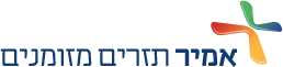 אמיר תזרים מזומנים