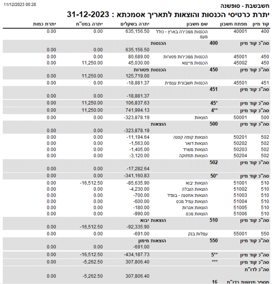 העברת הכנסות - דוח בדיקה לפני הפקה