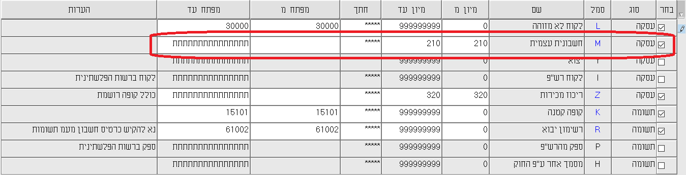 דוח מע"מ מקוון הכולל חשבונית עצמית