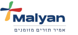 לוגו malyan אמיר תזרים מזומנים